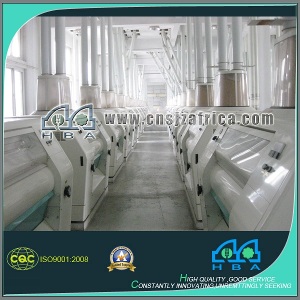 Equipment for Wheat Flour Grinding Maize Flour Grinding Machine Wheat Flour Mill