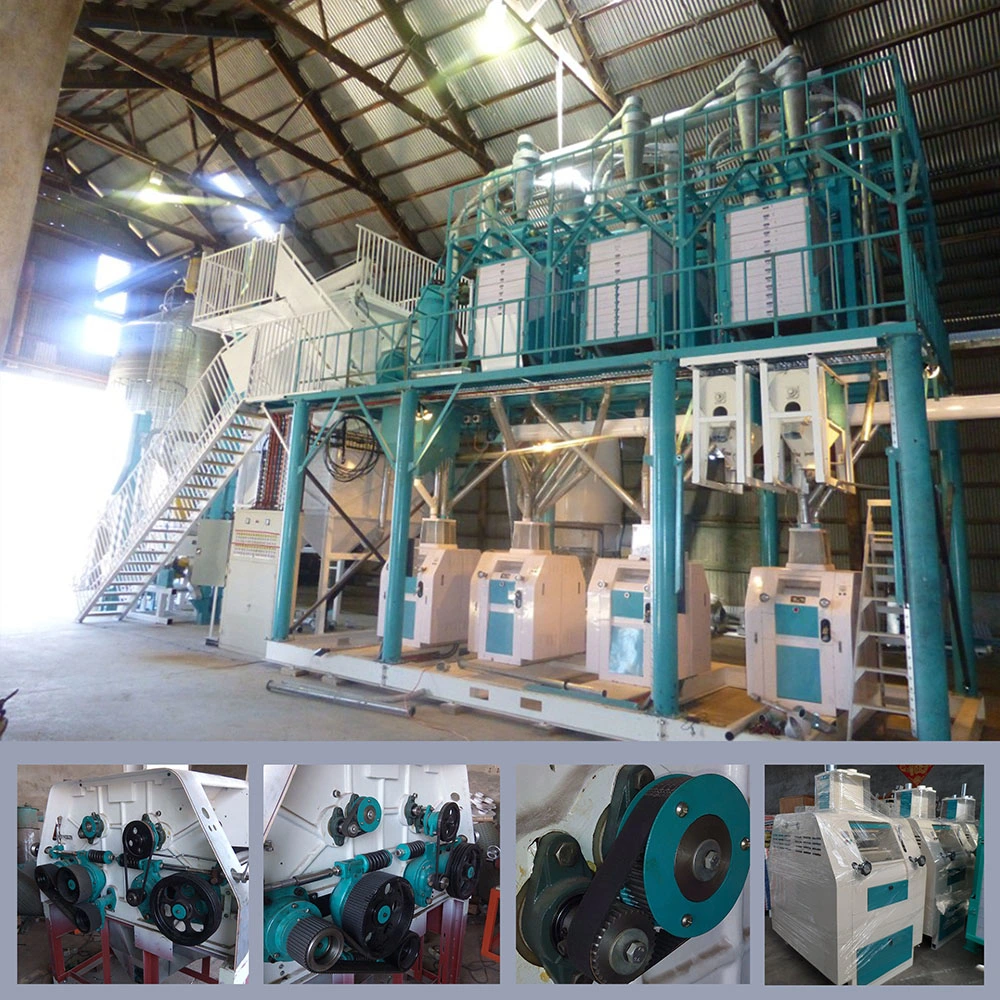 Hard/Soft Wheat Durum Milling for Making Flour Grain Mill Machine