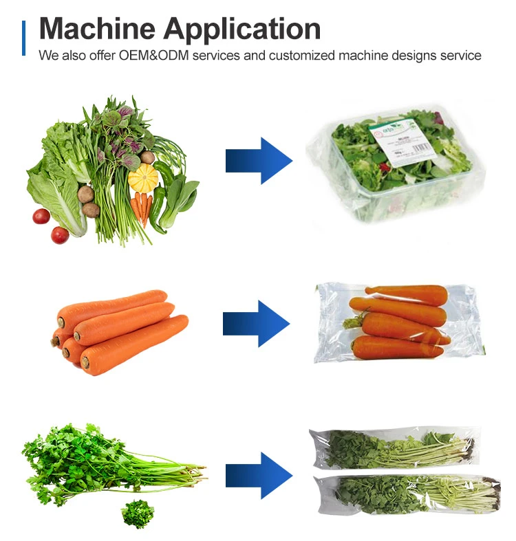 Lettuce and Onion Tomato Cucumber Horizontal Sausage Chicken Tortillas Frozen Vegetable Fruit Flowpack Packing Machine