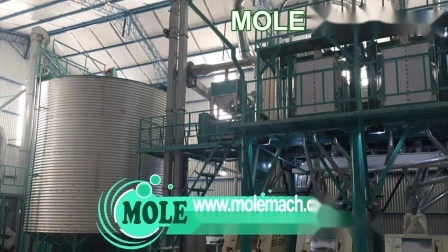 Komplette 5-500t/24h Weizen-Mais-Mais-Getreidemühle-Fräsmaschine